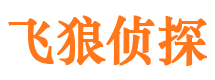 西塞山市婚外情取证